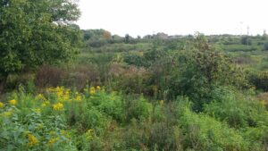 Kętrzyn Ogrodowa – 1.66 ha