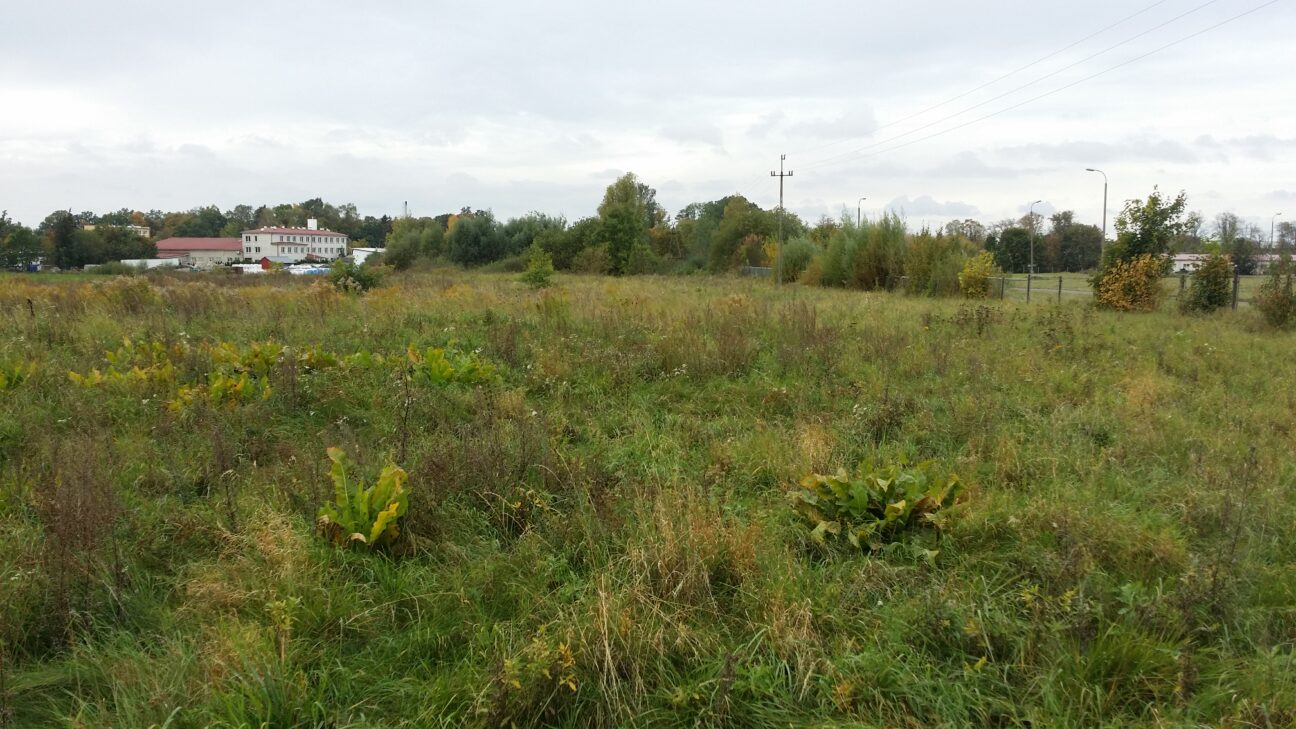 Kętrzyn Budowlana-Składowa