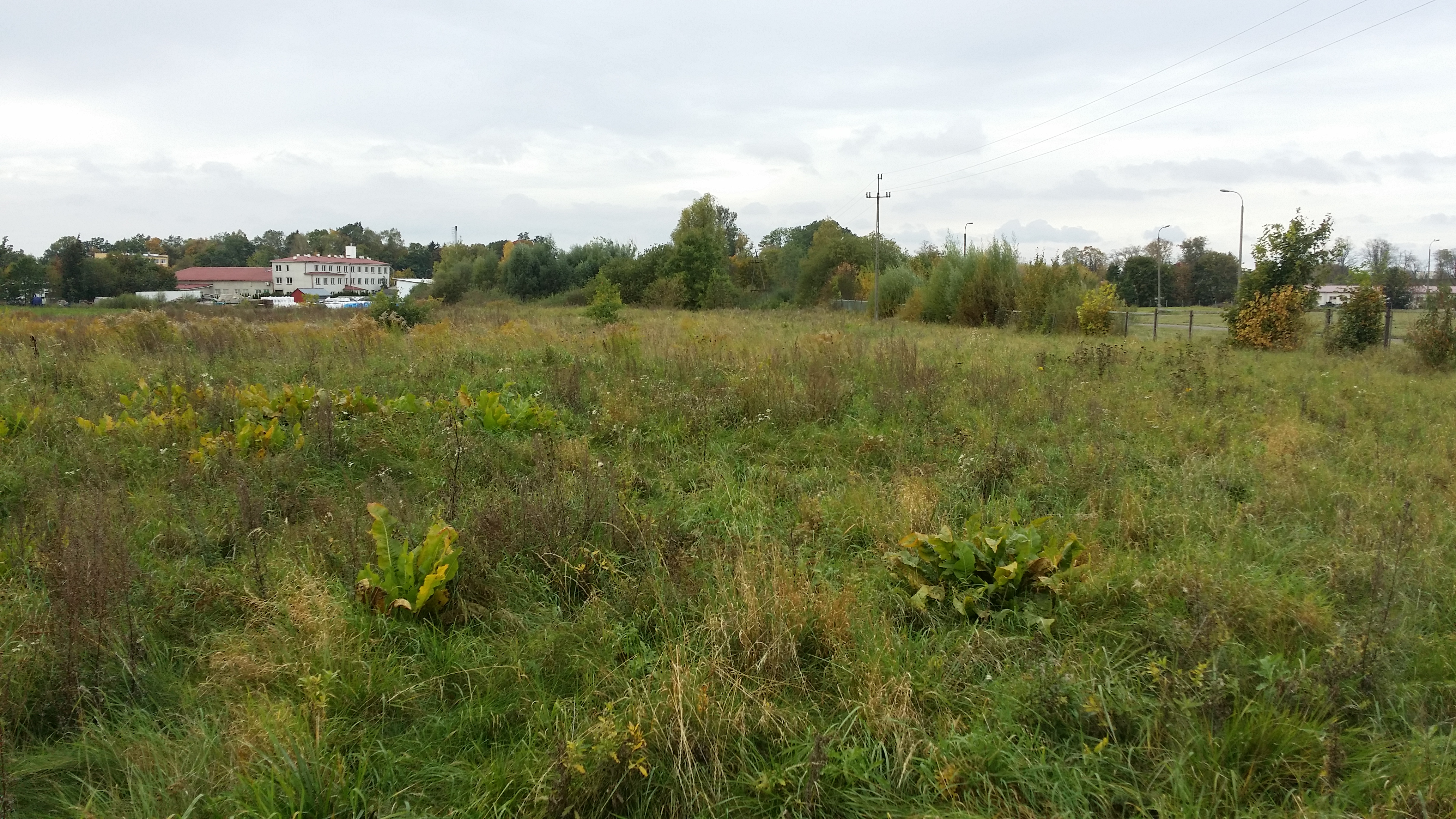 Składowa-Budowlana1