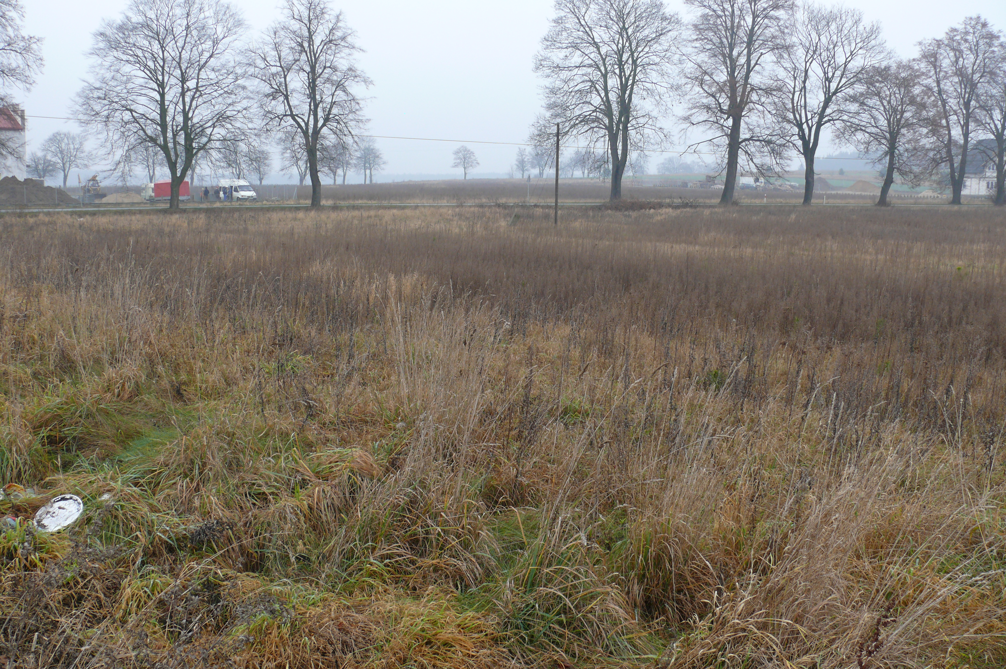 dzialdowo_g_komorniki_ (1)