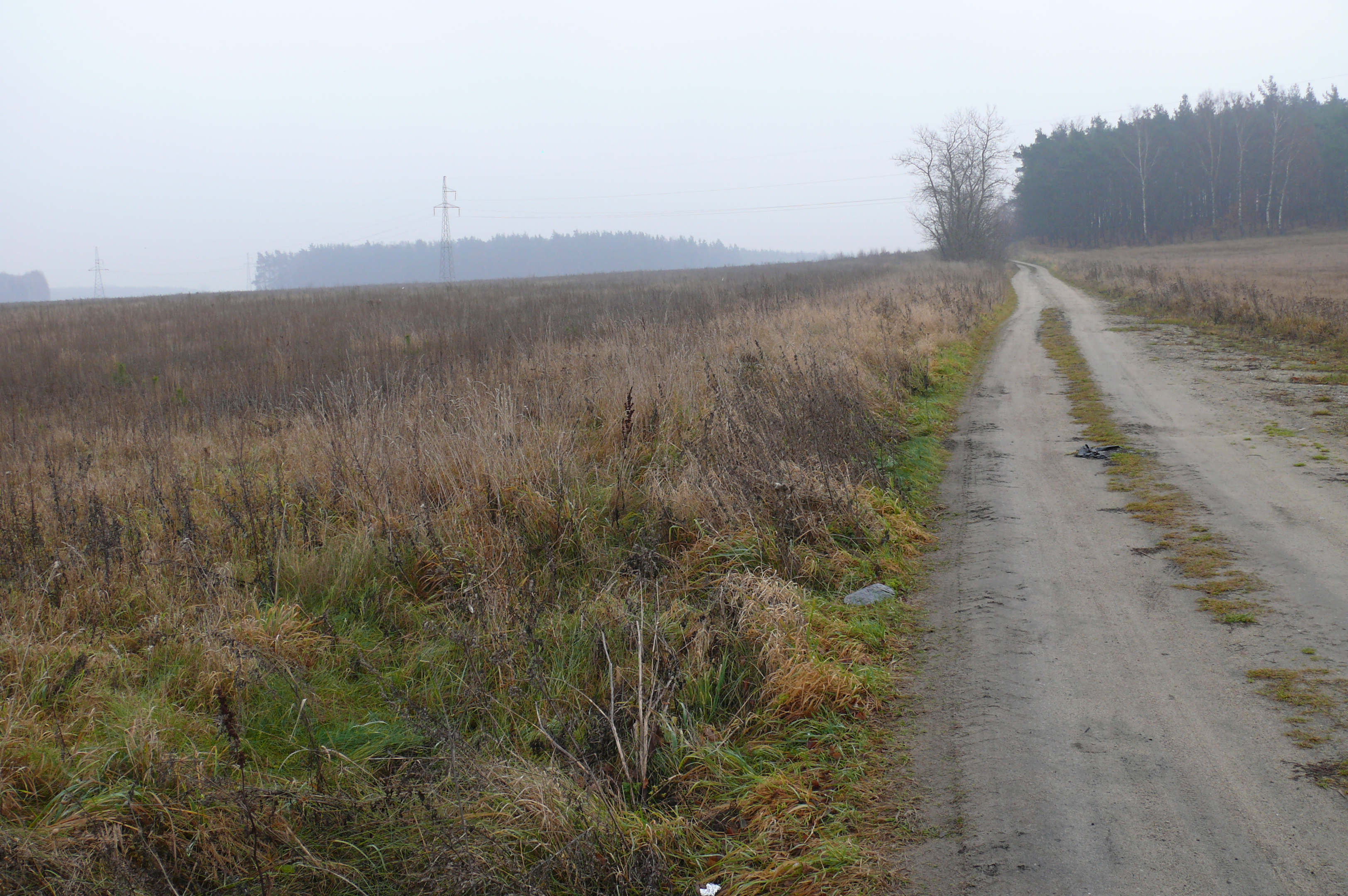 dzialdowo_g_komorniki_ (4)