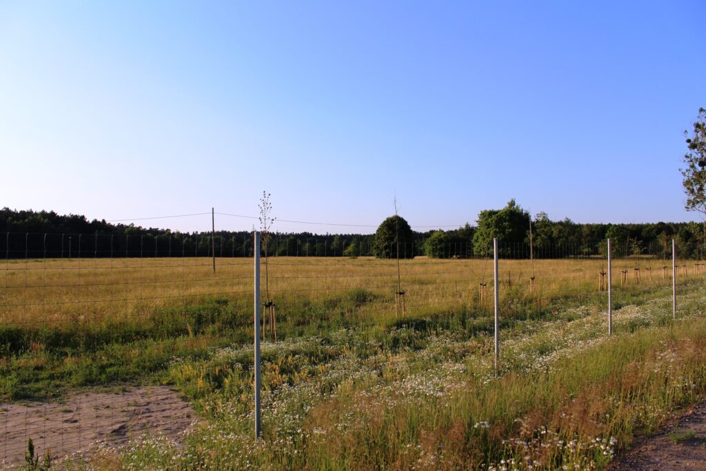 Olsztynek, Ameryka