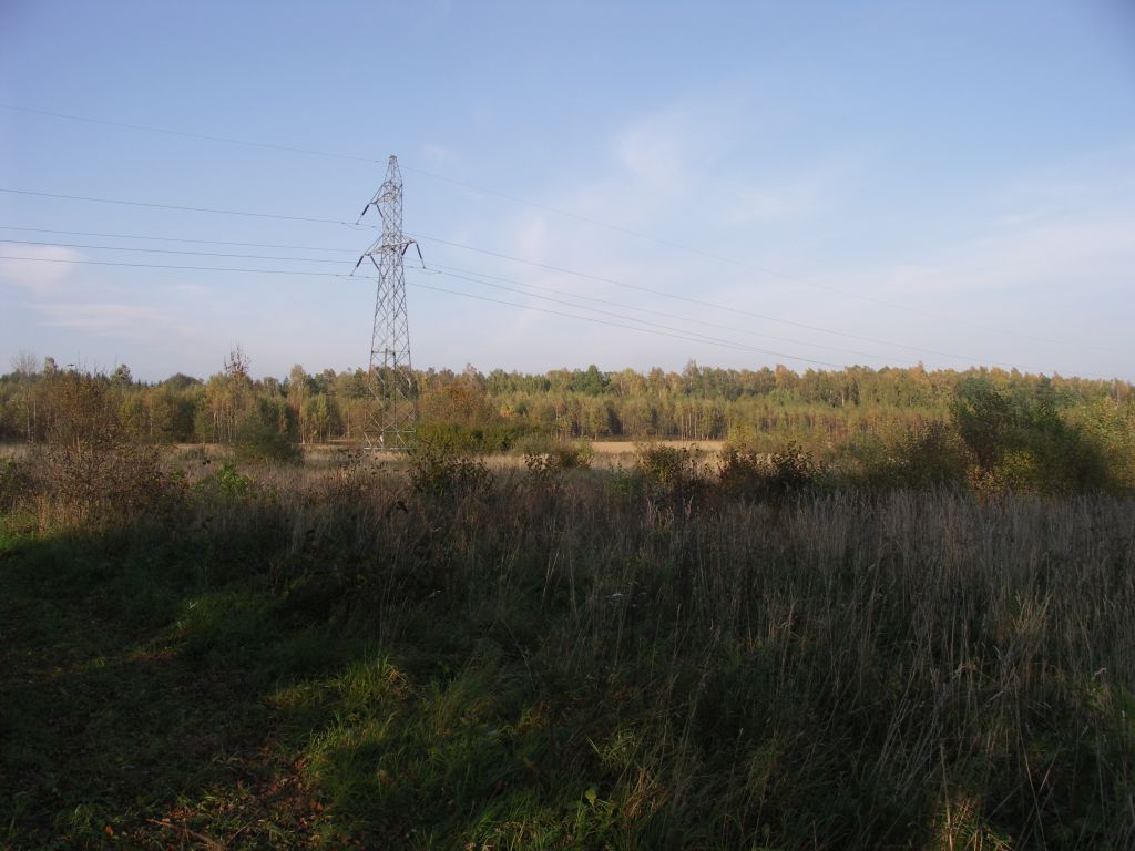 KONICA MINOLTA DIGITAL CAMERA