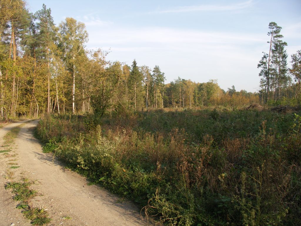 KONICA MINOLTA DIGITAL CAMERA