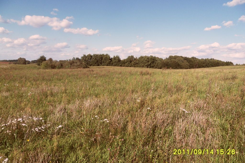 SAMSUNG DIGITAL CAMERA