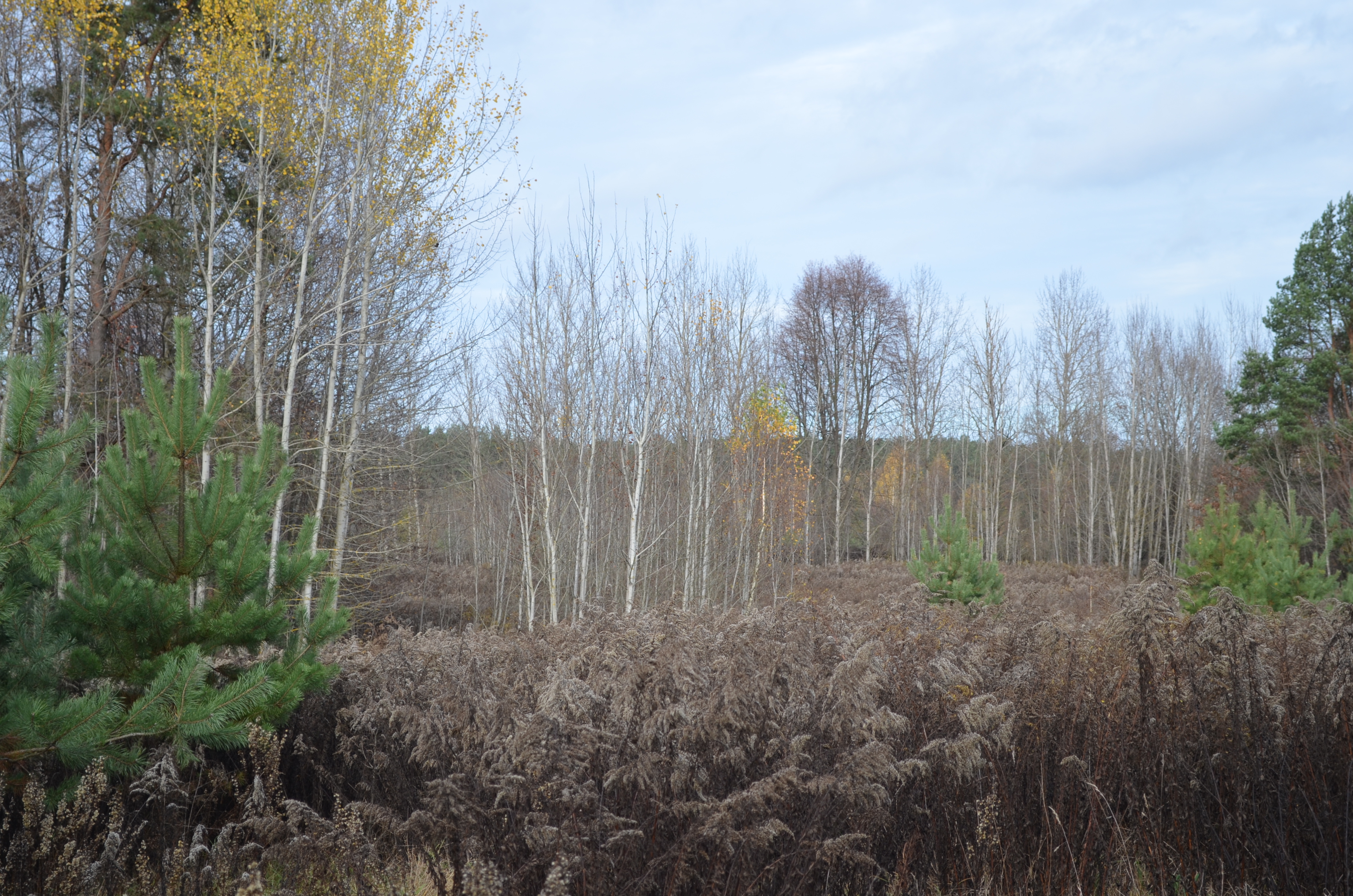 ruciane_nida_g_wygryny_hotel_ (14)