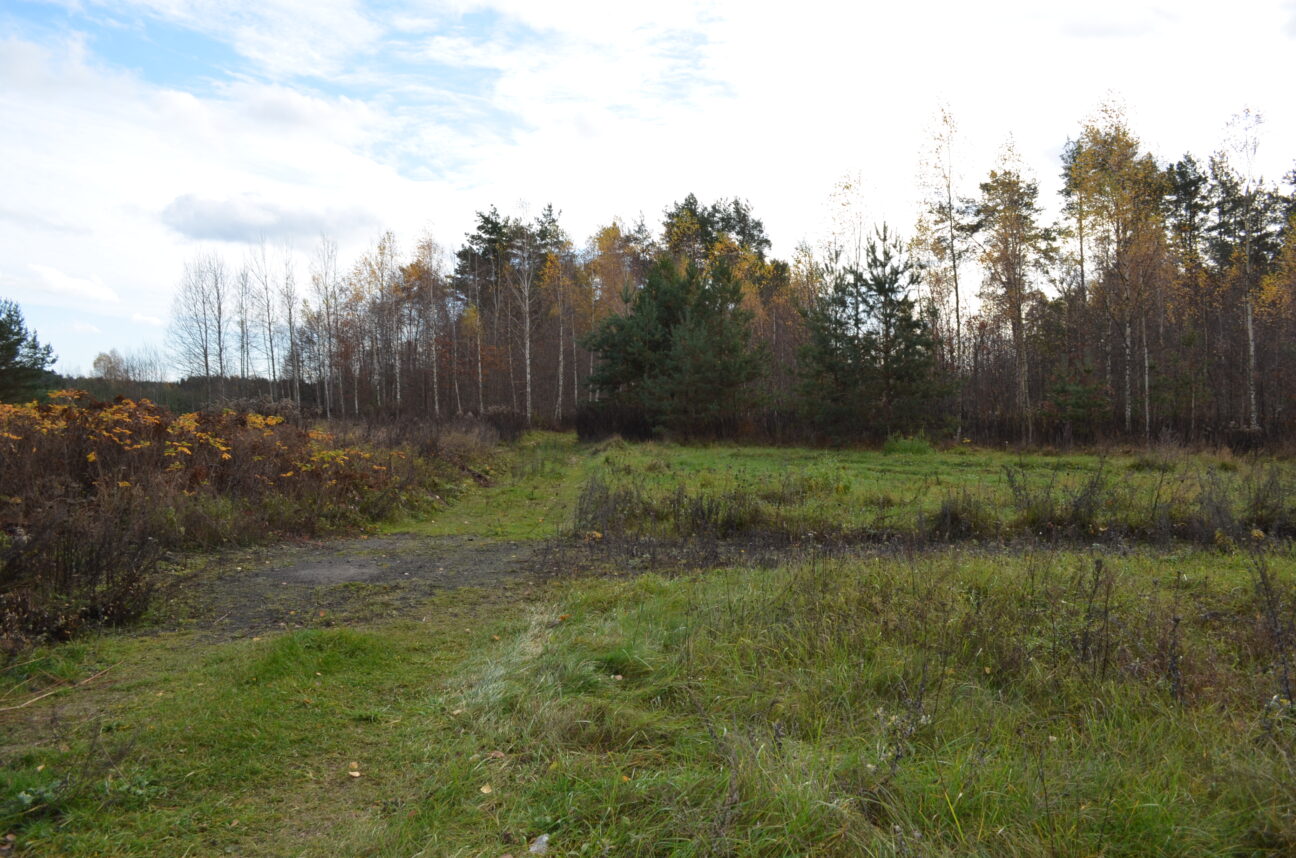 Ruciane-Nida Wygryny