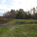 Olsztyn hala magazynowo-produkcyjna