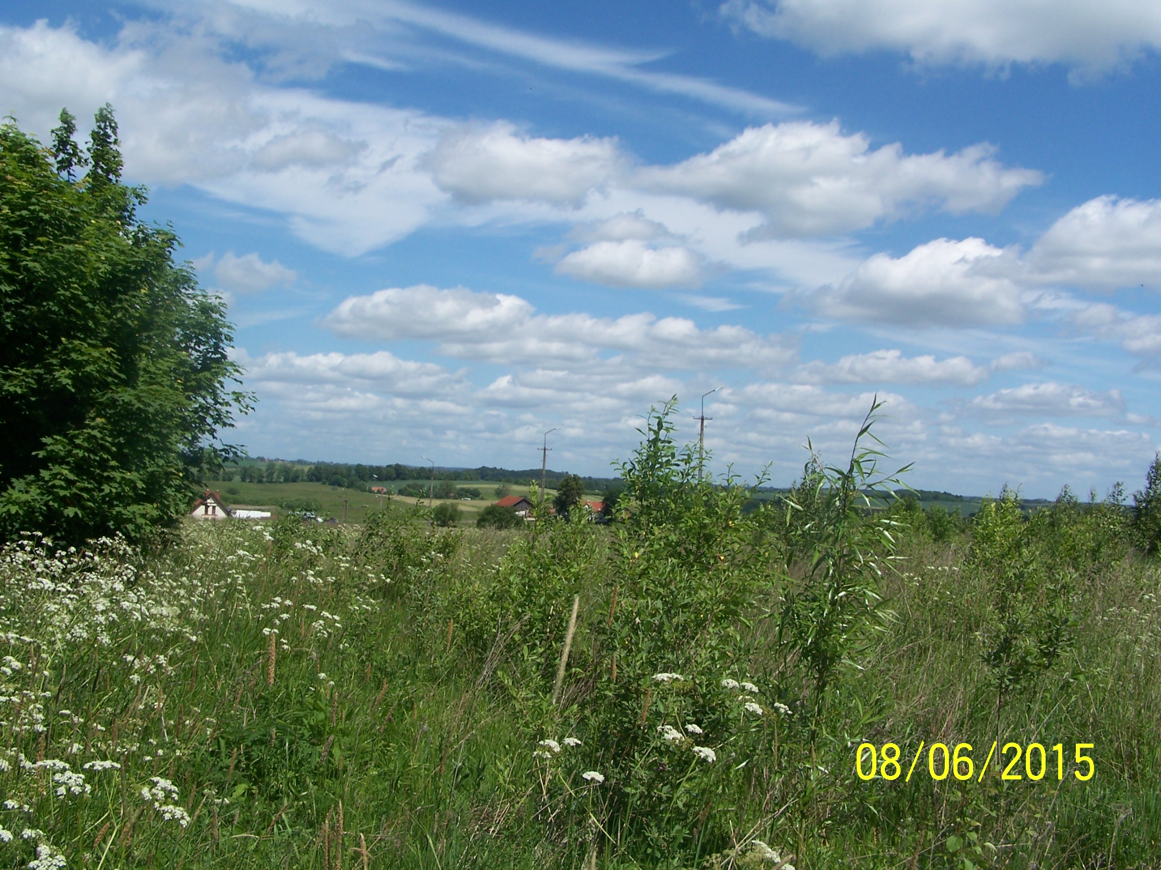 swiatki_g_rolny_ (12)