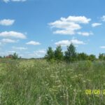 Janowiec Kościelny Wiłunie UP 10