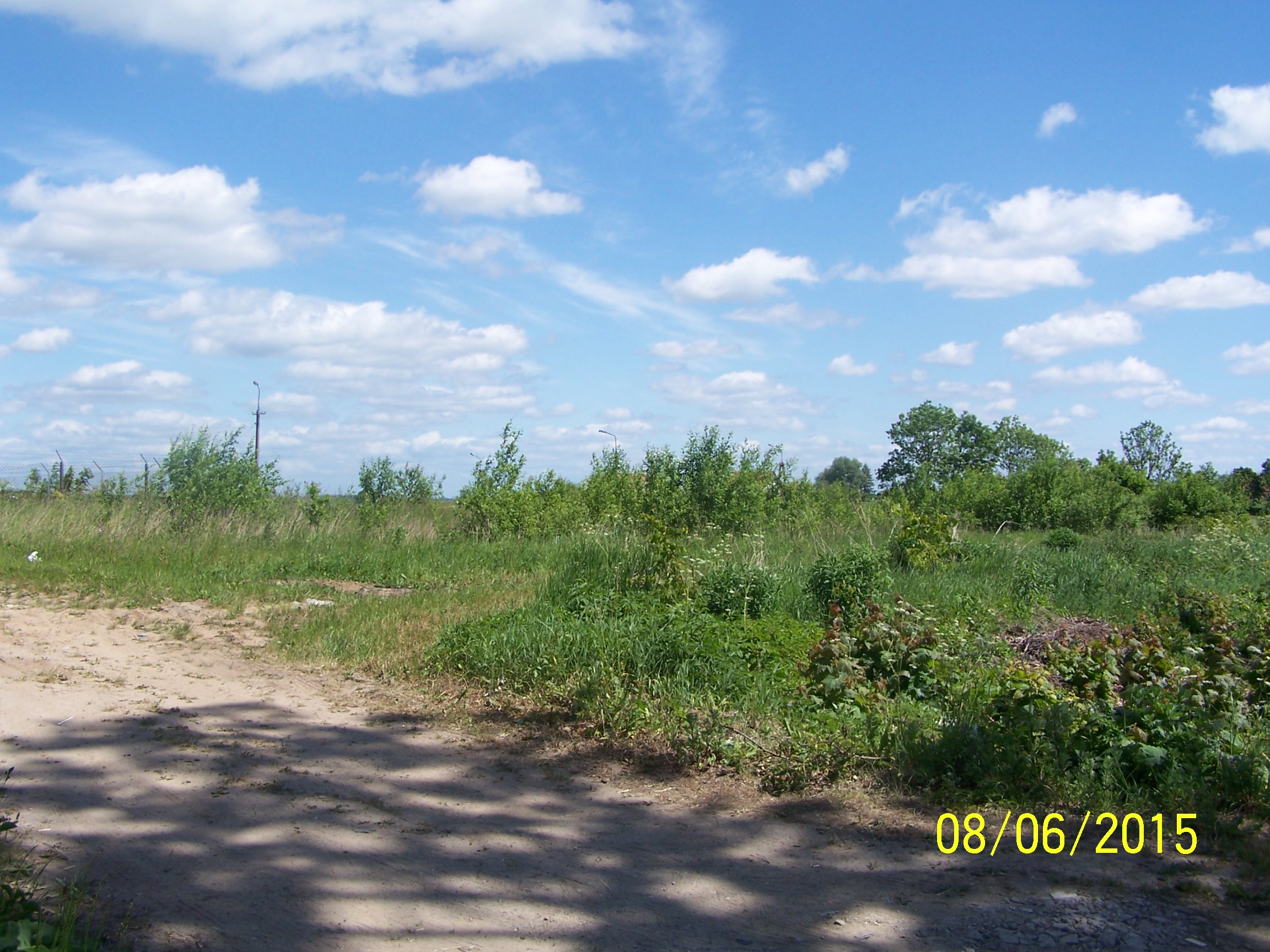 swiatki_g_rolny_ (8)