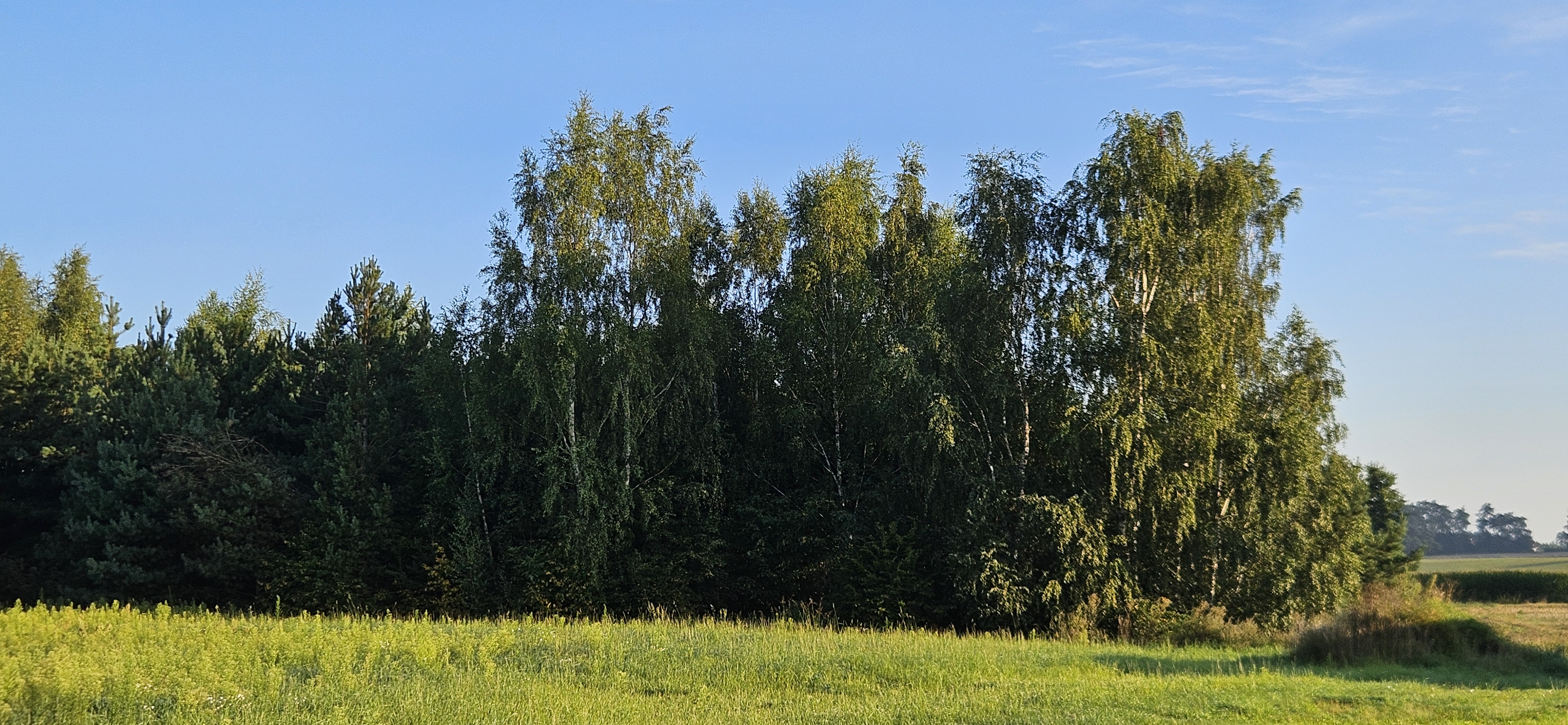 20260821_065643