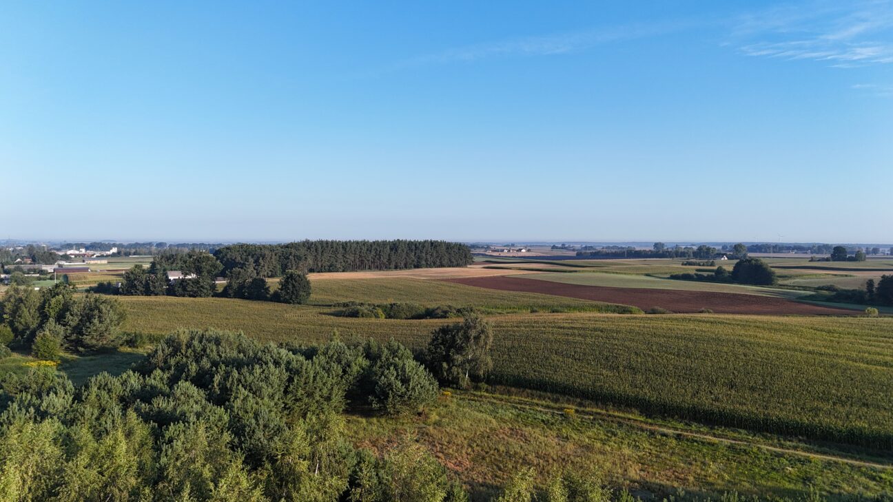Biskupiec Bielice